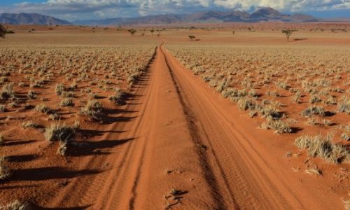 Your paragraph text (20)